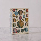 John Derian Shell Puzzle