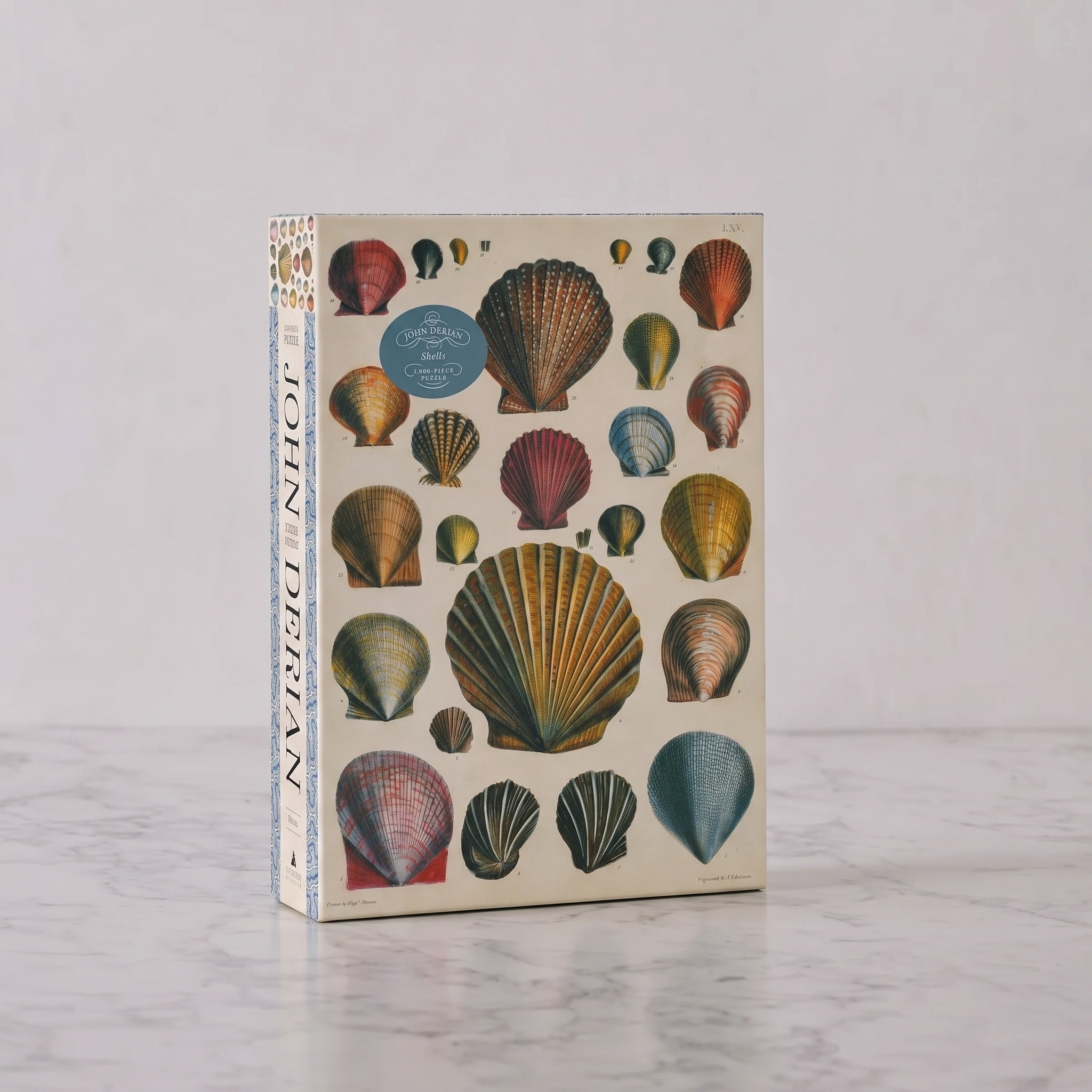 John Derian Shell Puzzle