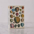 John Derian Shell Puzzle