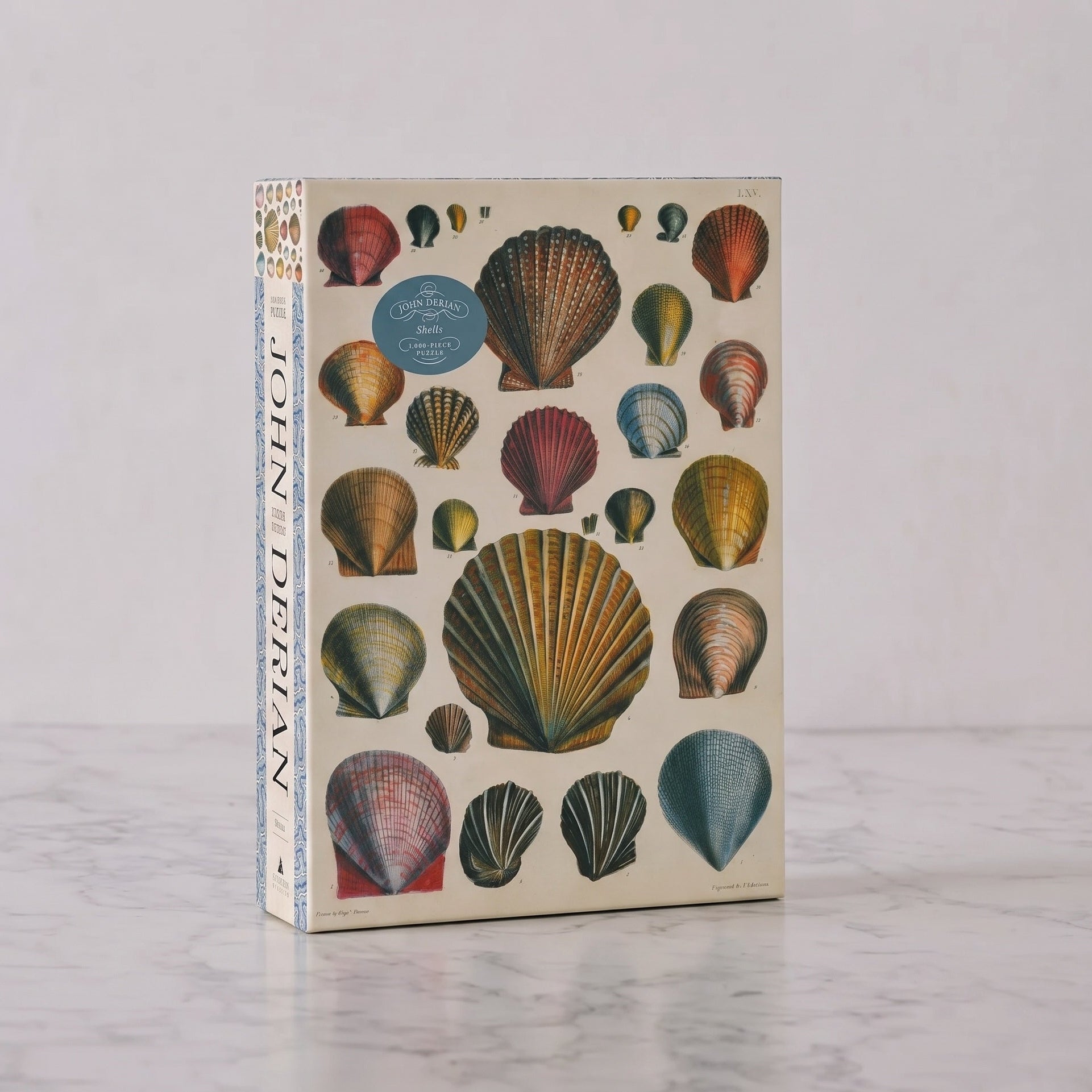 John Derian Shell Puzzle