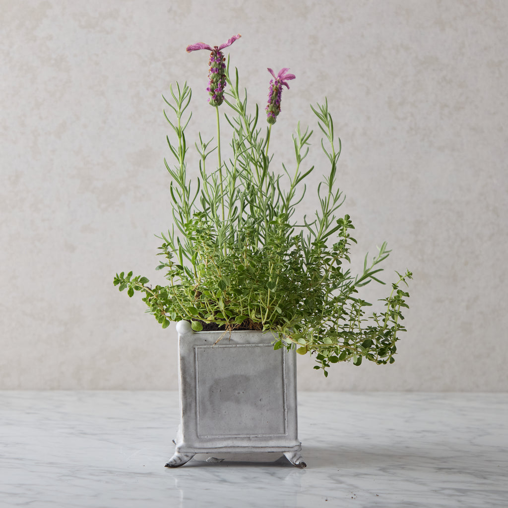 Hand Glazed Petite Cachepot