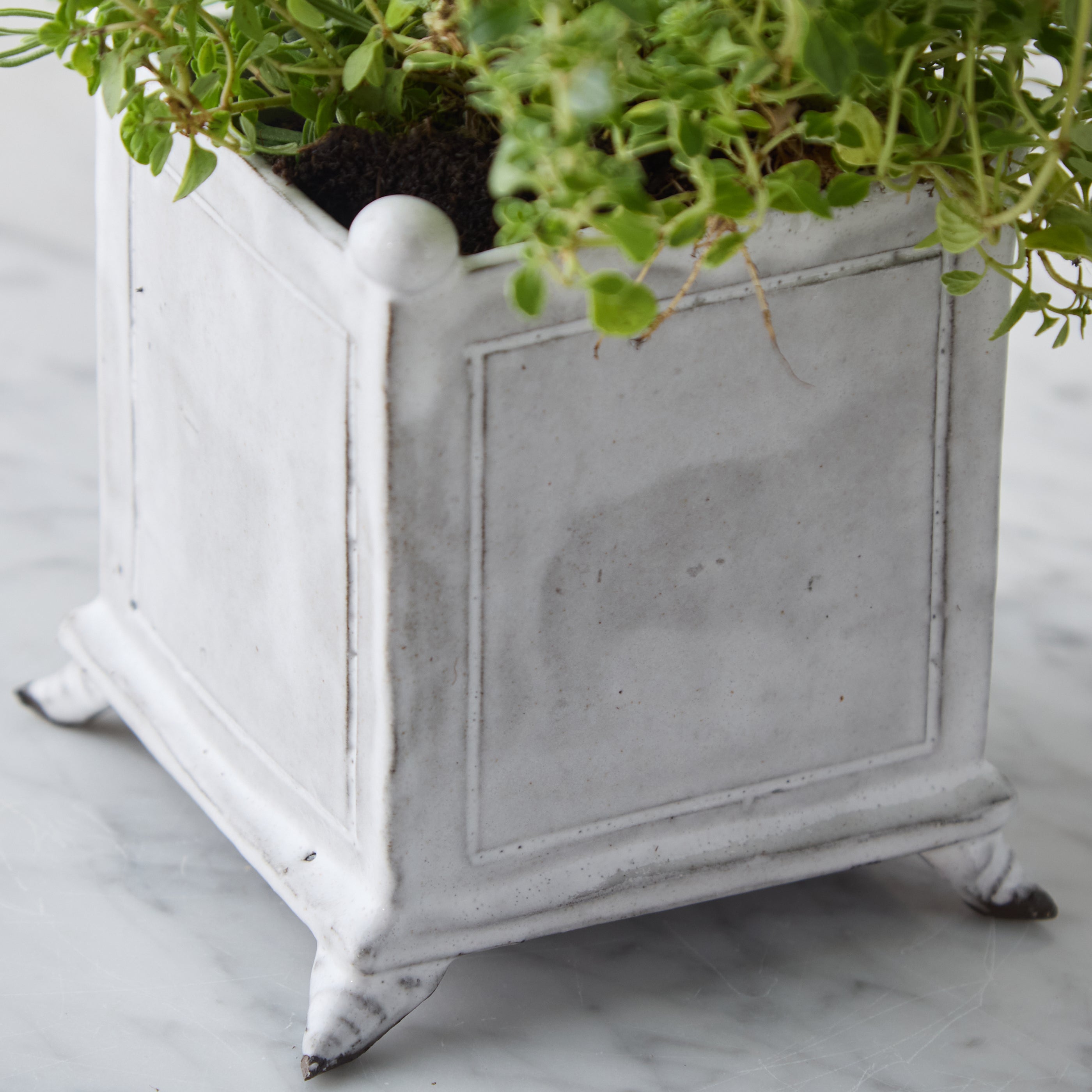 Hand Glazed Petite Cachepot