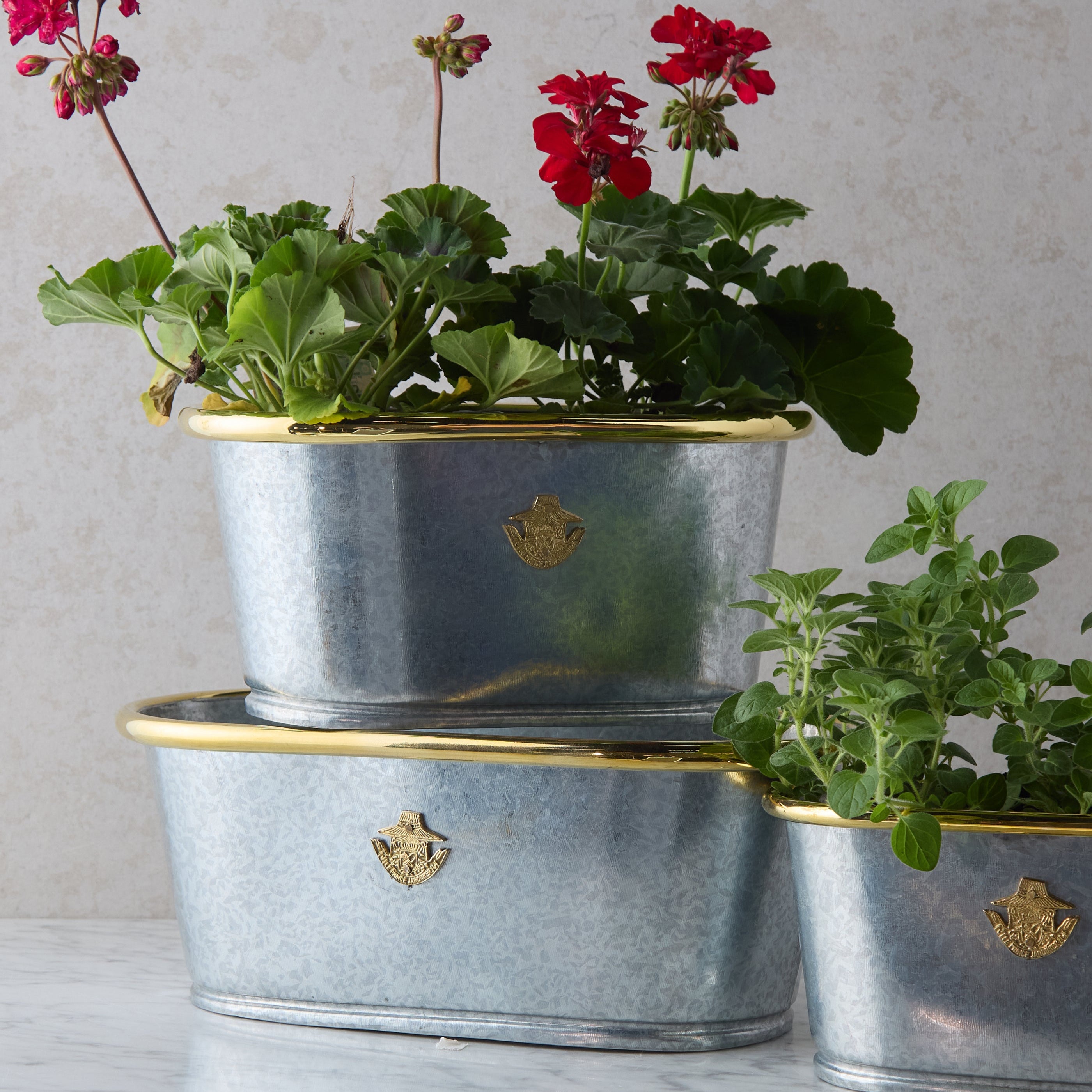 large galvanized pots for plants Galvanized Planter, Large – Reed Smythe & Company