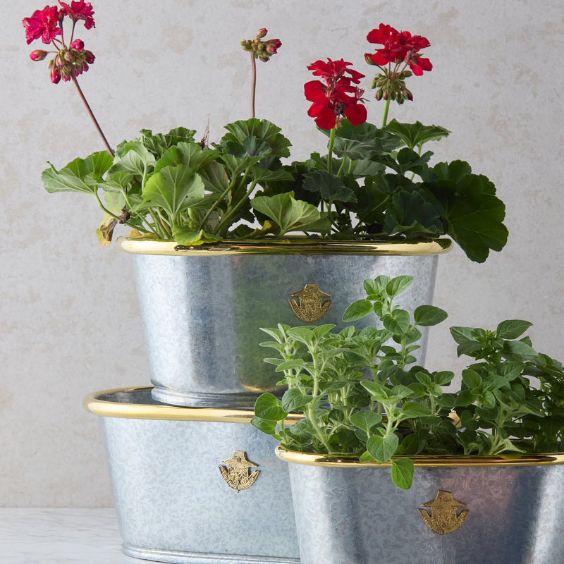 Galvanized planter, Small