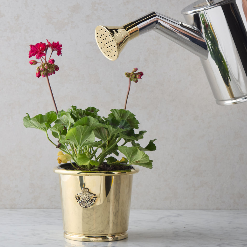 Stainless Steel & Brass Watering Can