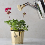Stainless Steel & Brass Watering Can