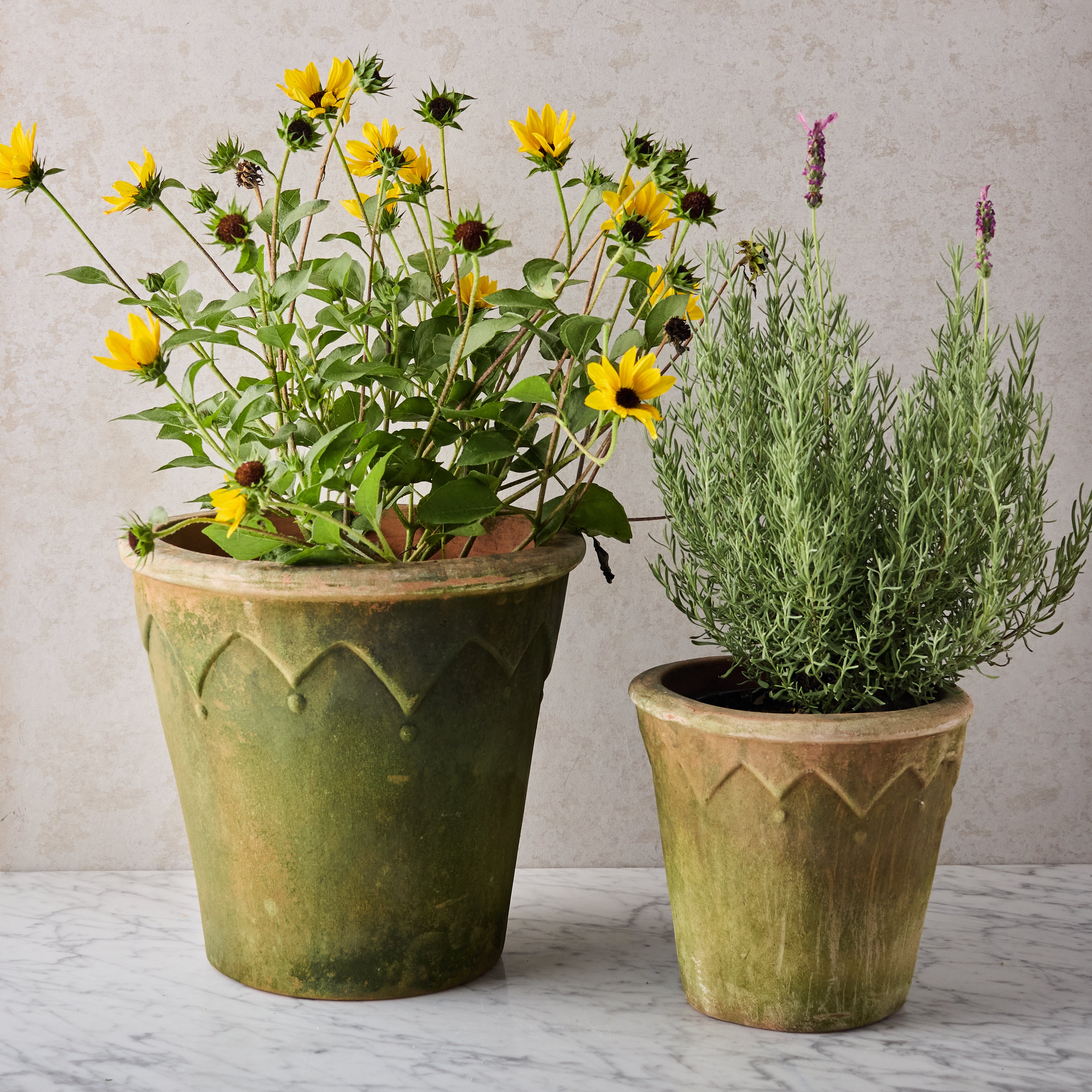 large outdoor terracotta plant pots Large Aged Harlequin Terracotta Planter – Reed Smythe & Company