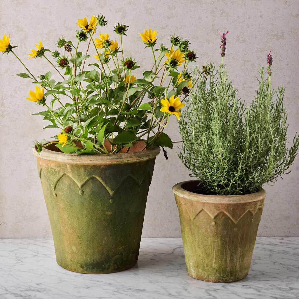 Large Aged Harlequin Terracotta Planter