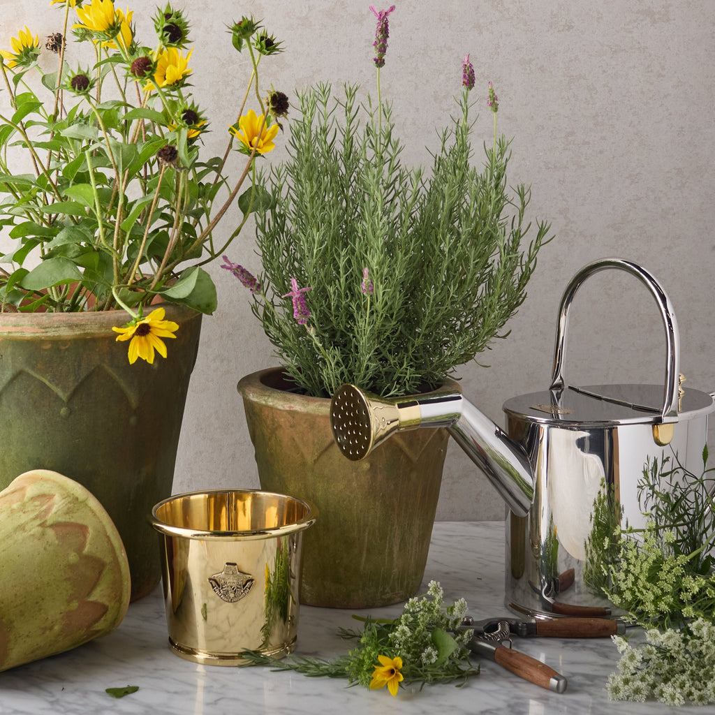Stainless Steel & Brass Watering Can