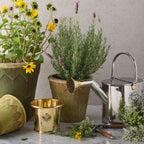 Stainless Steel & Brass Watering Can