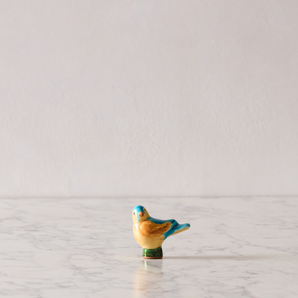 Baby Bird, Teal & Saffron