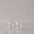 Set of 2 Clear Goblets