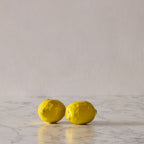 Hand Enameled Ceramic Lemon