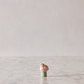 Hungry Bird, Pink