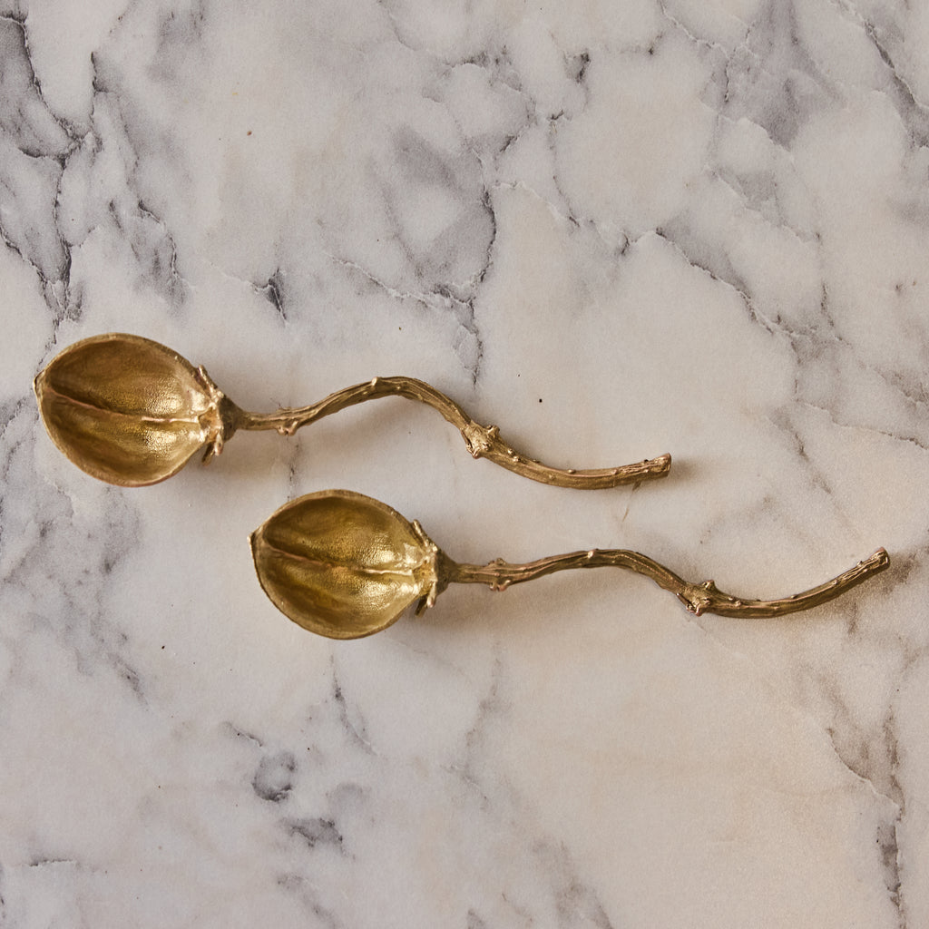 Antique Brass Seed Pod Spoons, Set of 2