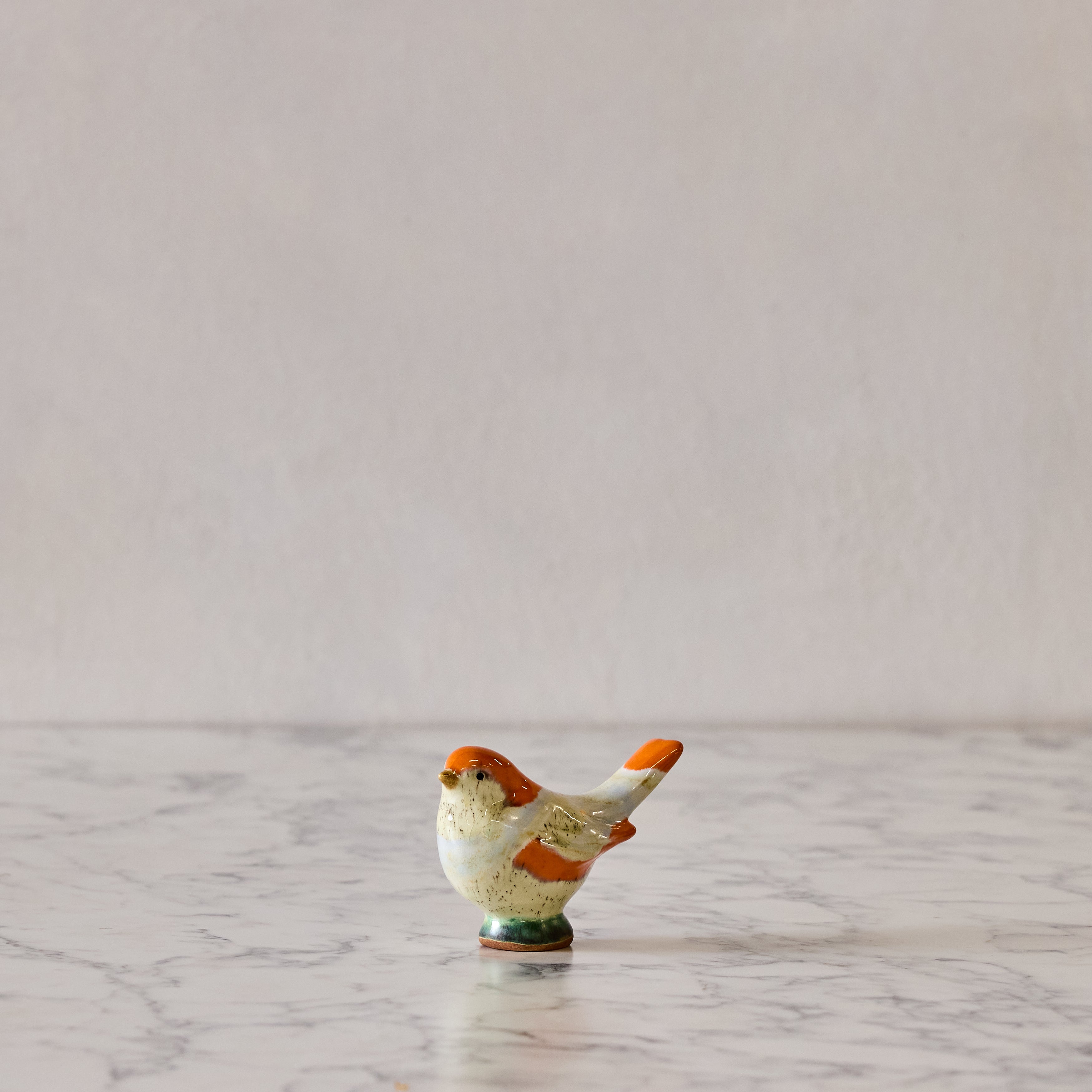 Medium Songbird, Orange & White