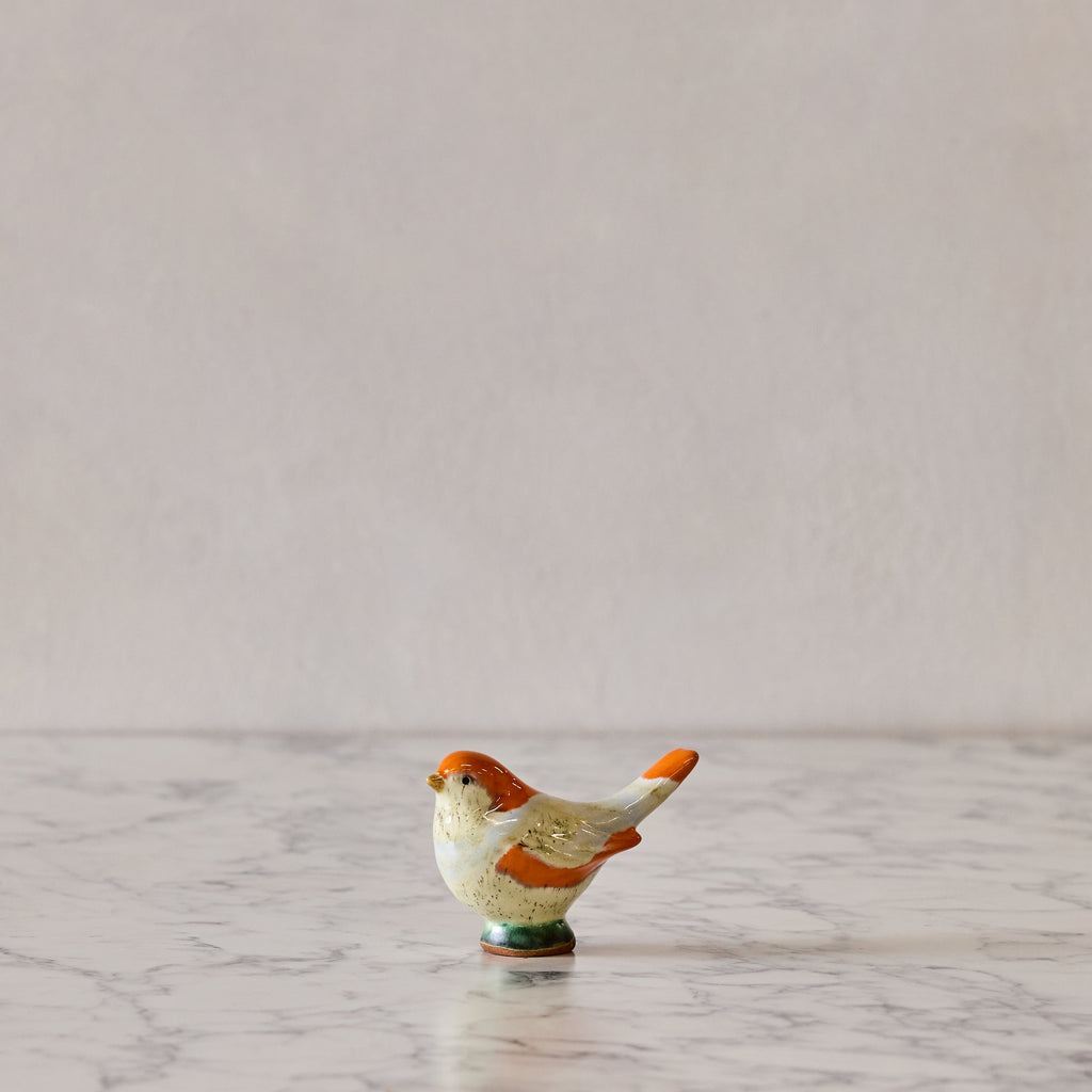 Medium Songbird, Orange & White