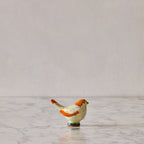 Medium Songbird, Orange & White