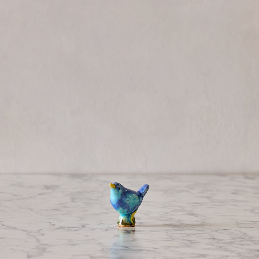 Baby Bird, Aqua & Cerulean