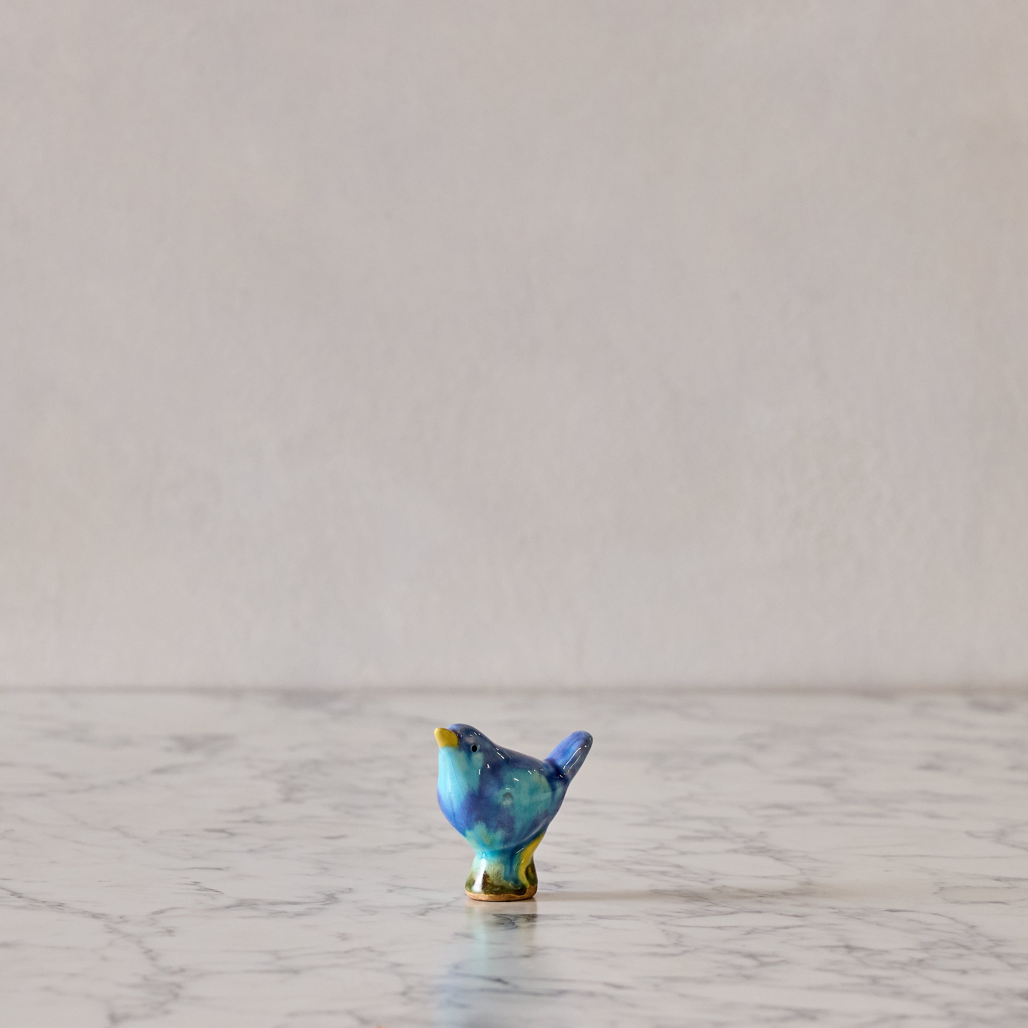Baby Bird, Aqua & Cerulean