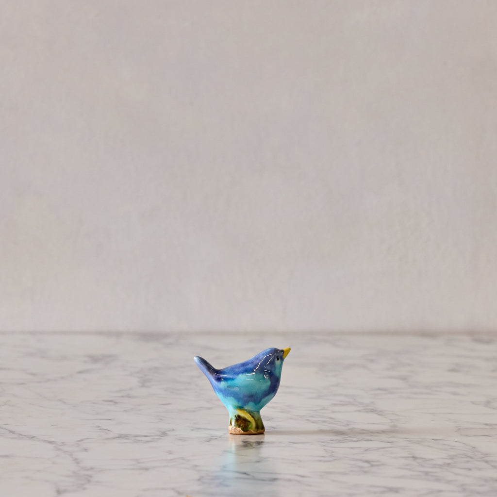 Baby Bird, Aqua & Cerulean