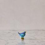 Baby Bird, Aqua & Cerulean