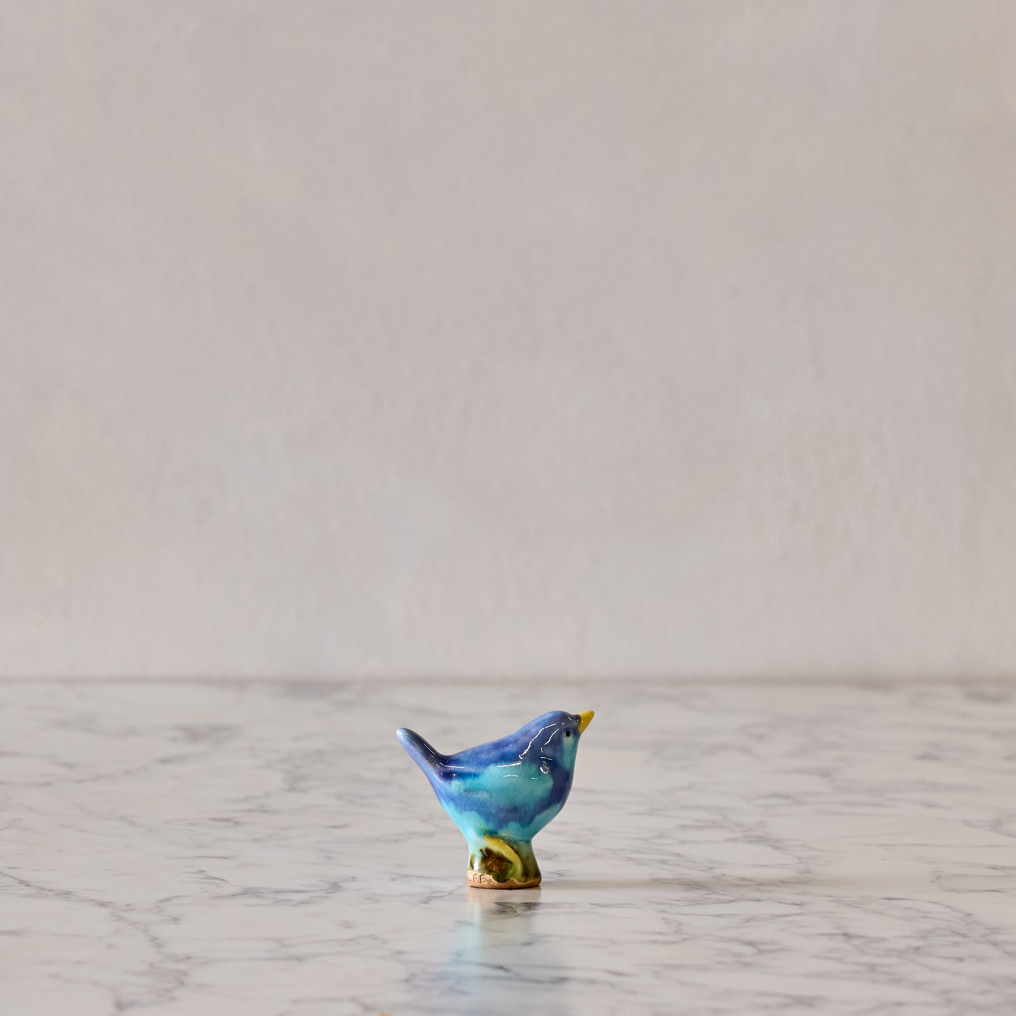 Baby Bird, Aqua & Cerulean