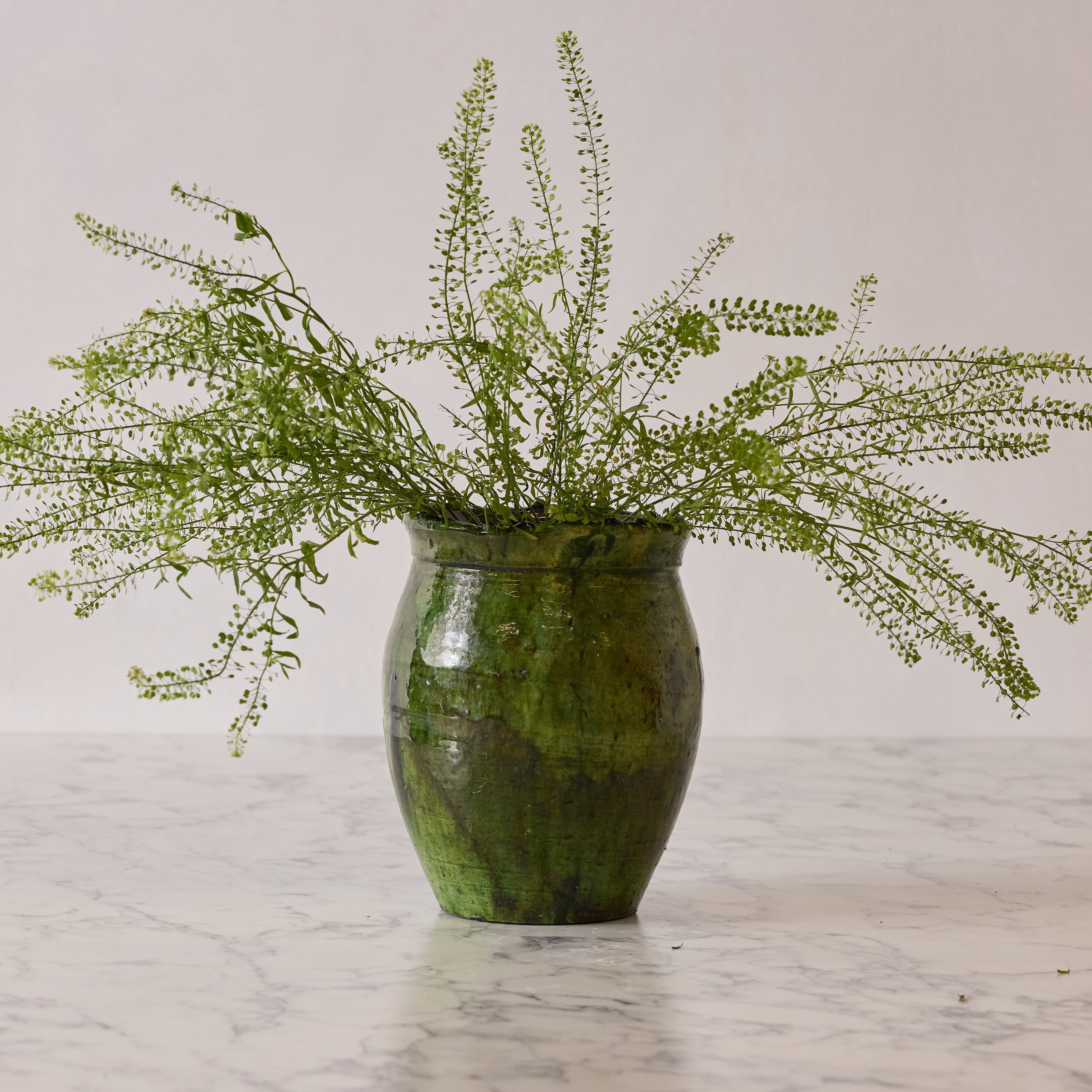 Tamegroute Vase