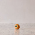 Hand Enameled Ceramic Persimmon