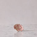 Splatterware Shell Dish, Pink on White