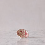 Splatterware Shell Dish, Pink on White