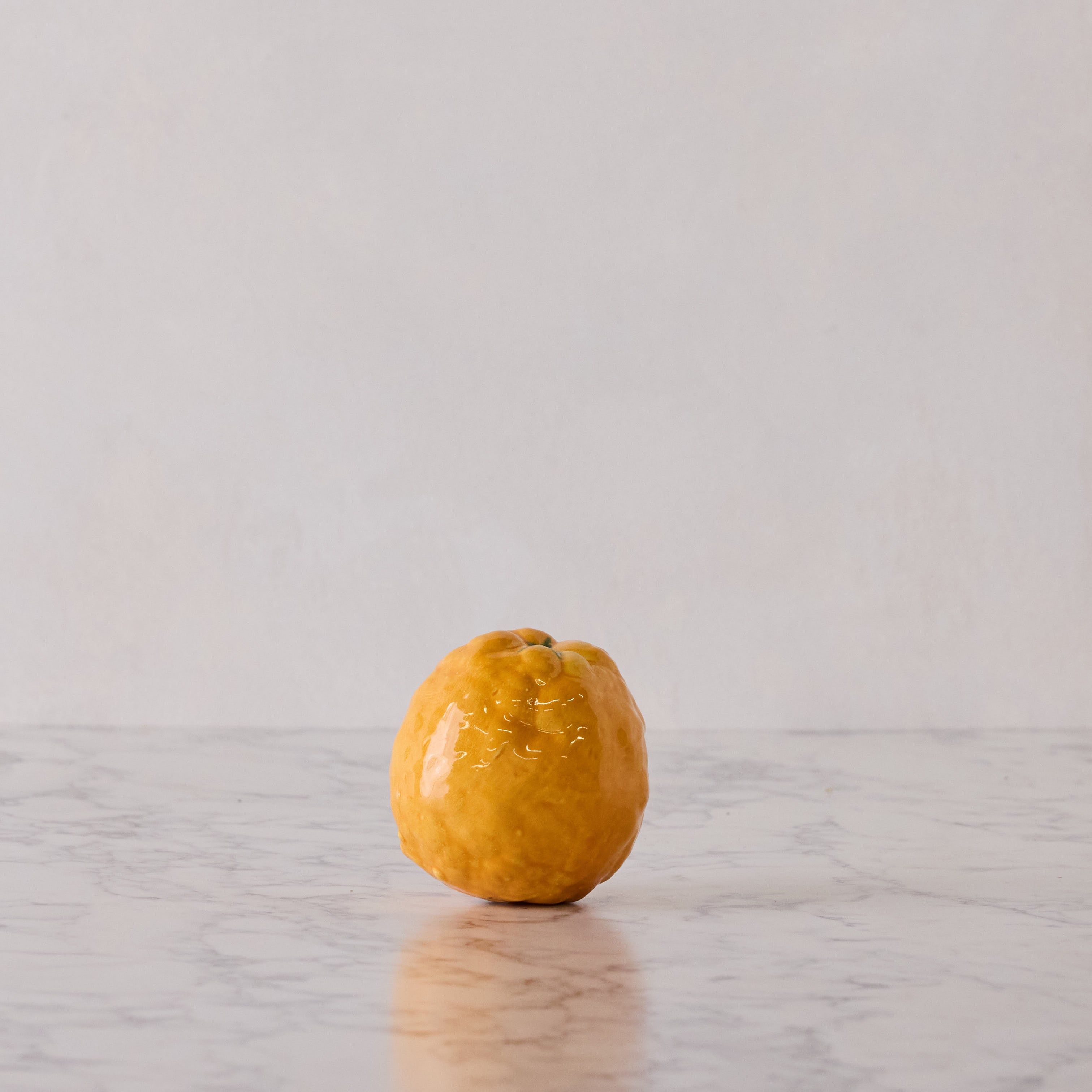 Hand Enameled Ceramic Bitter Orange