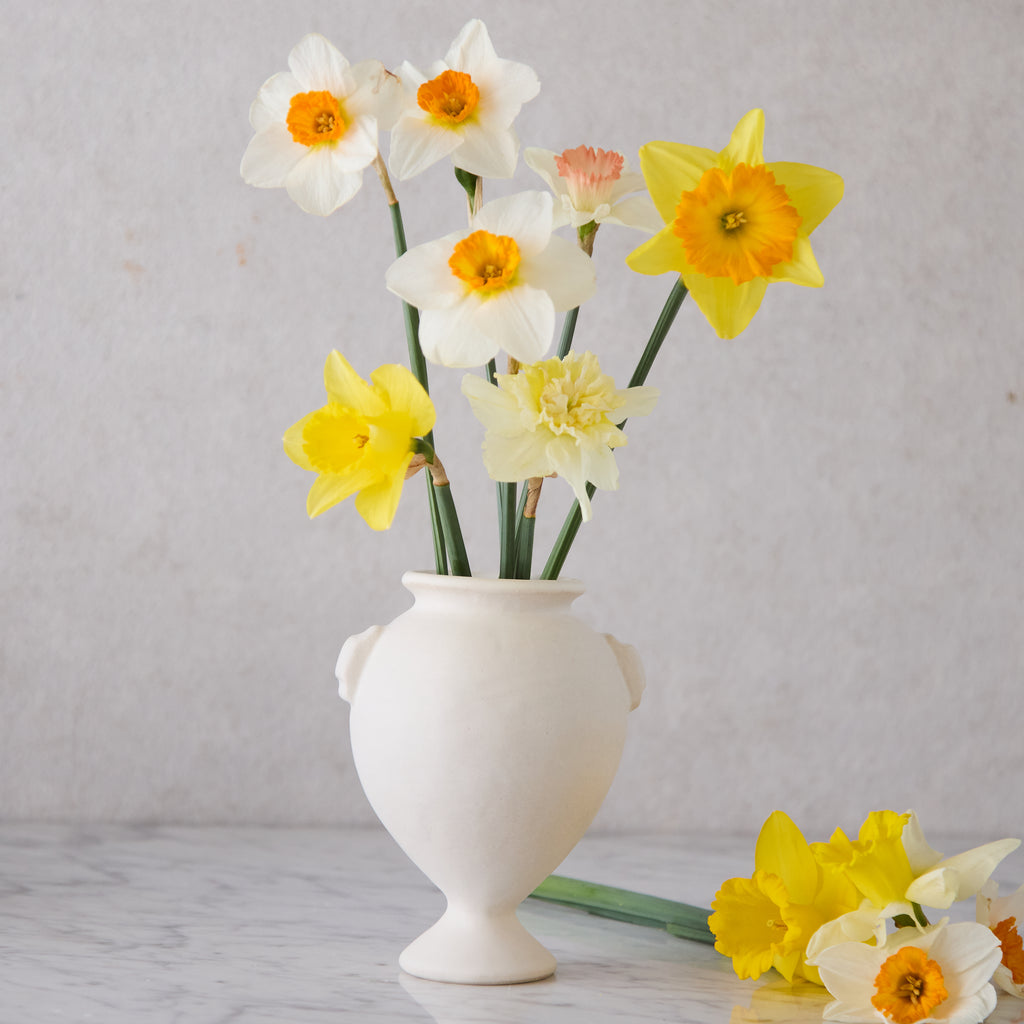 Ceramic Pinchpot Amphora