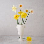 Sissinghurst Ceramic Vase