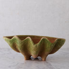 Large Aged Terracotta Clam Shell