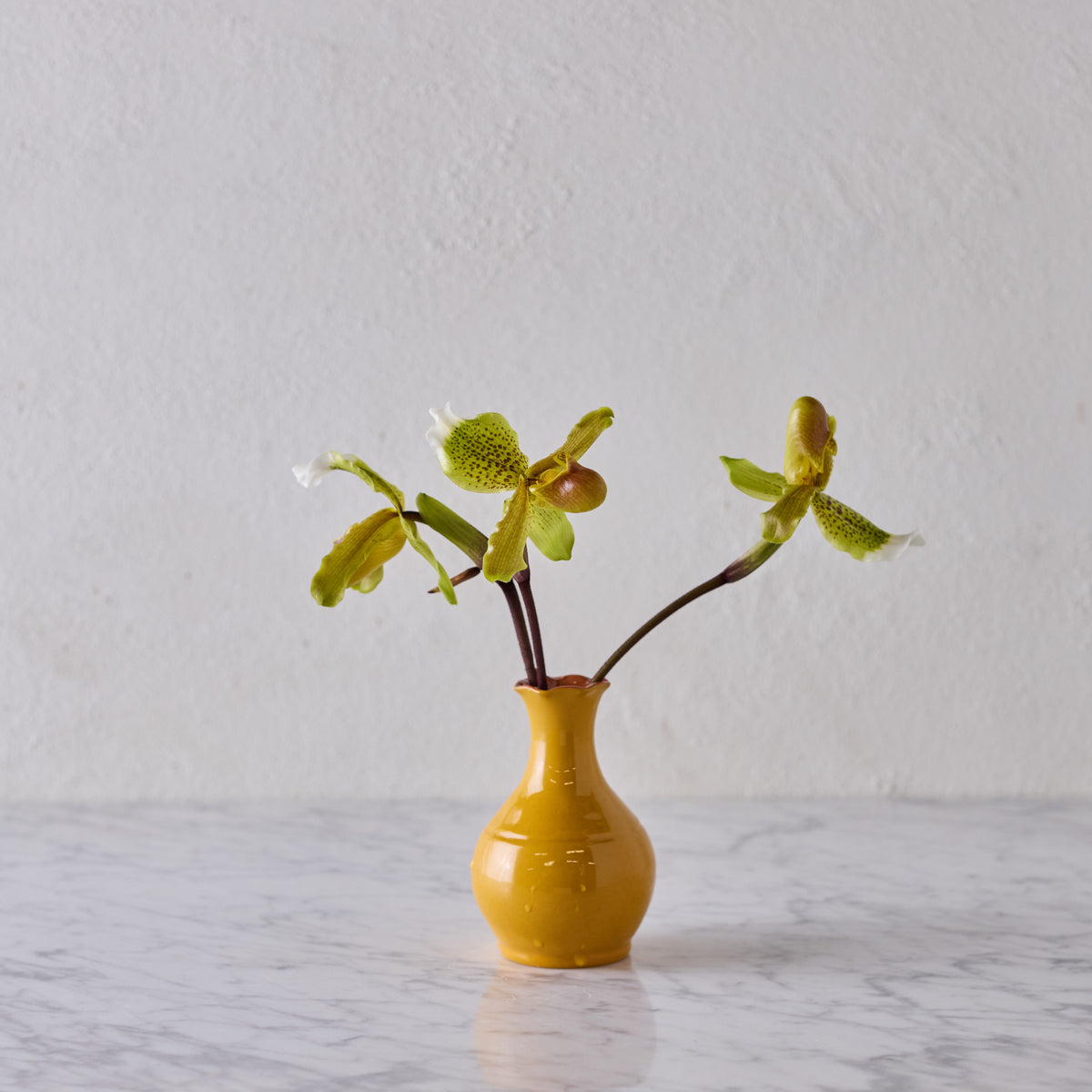 Glazed Terracotta Vase, Ochre