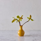 Glazed Terracotta Vase, Ochre
