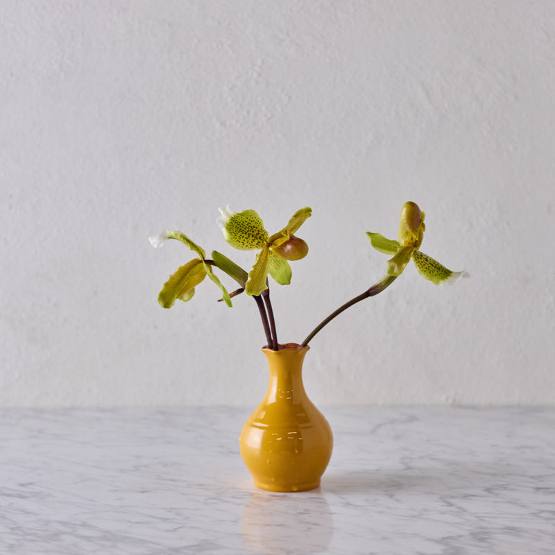 Glazed Terra Cotta Vase, Ochre