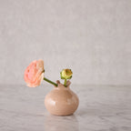 Glazed Terracotta Pomegranate, Small Bisque