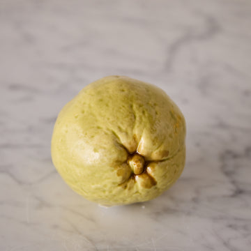 Hand Enameled Ceramic Quince