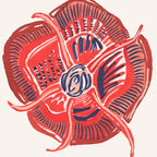 Rosa Rose Series, Red by Andra Eggleston