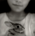 "Isabel y Conejo" by Jack Spencer