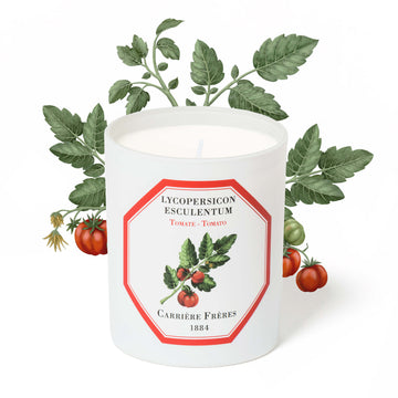 Carrière Frères Candle, Tomato