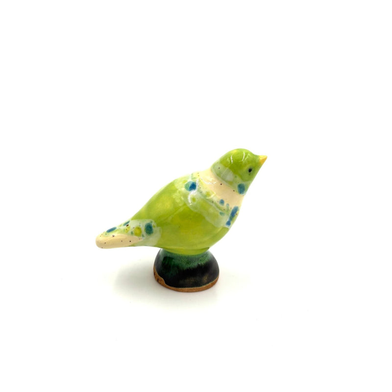 Baby Bird, Lime Green