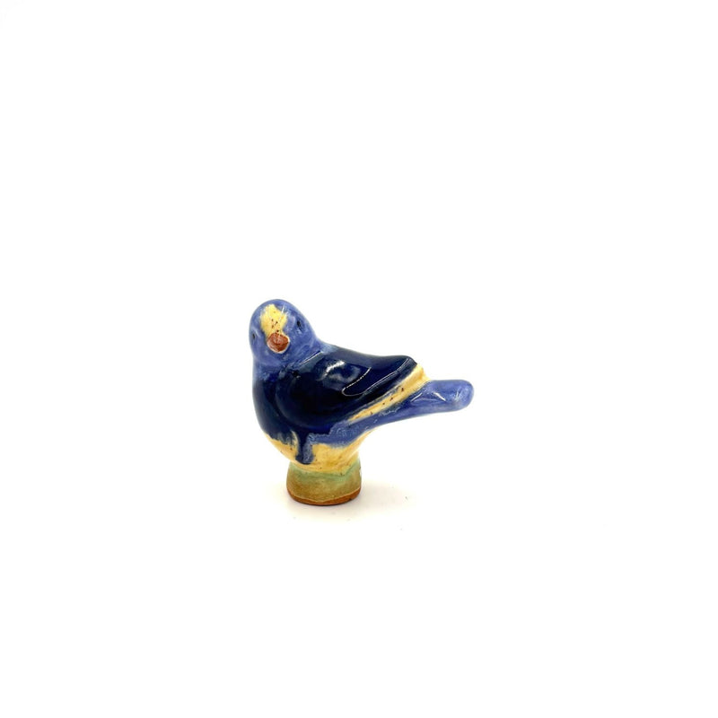 Baby Bird, Dark Blue