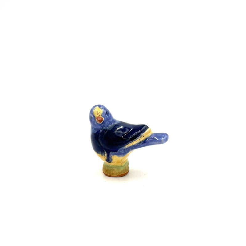 Baby Bird, Dark Blue