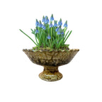 Medium Tamegroute Fruit Bowl, Ochre