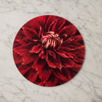 Summerill & Bishop Set of four Dahlia Round Cork-Backed Placemats