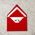 Kittens & Yarn Note Cards