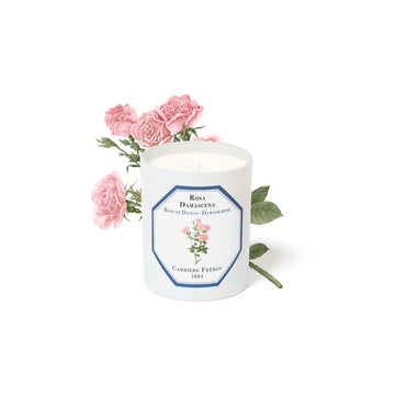 Carrière Frères Candle, Damask Rose